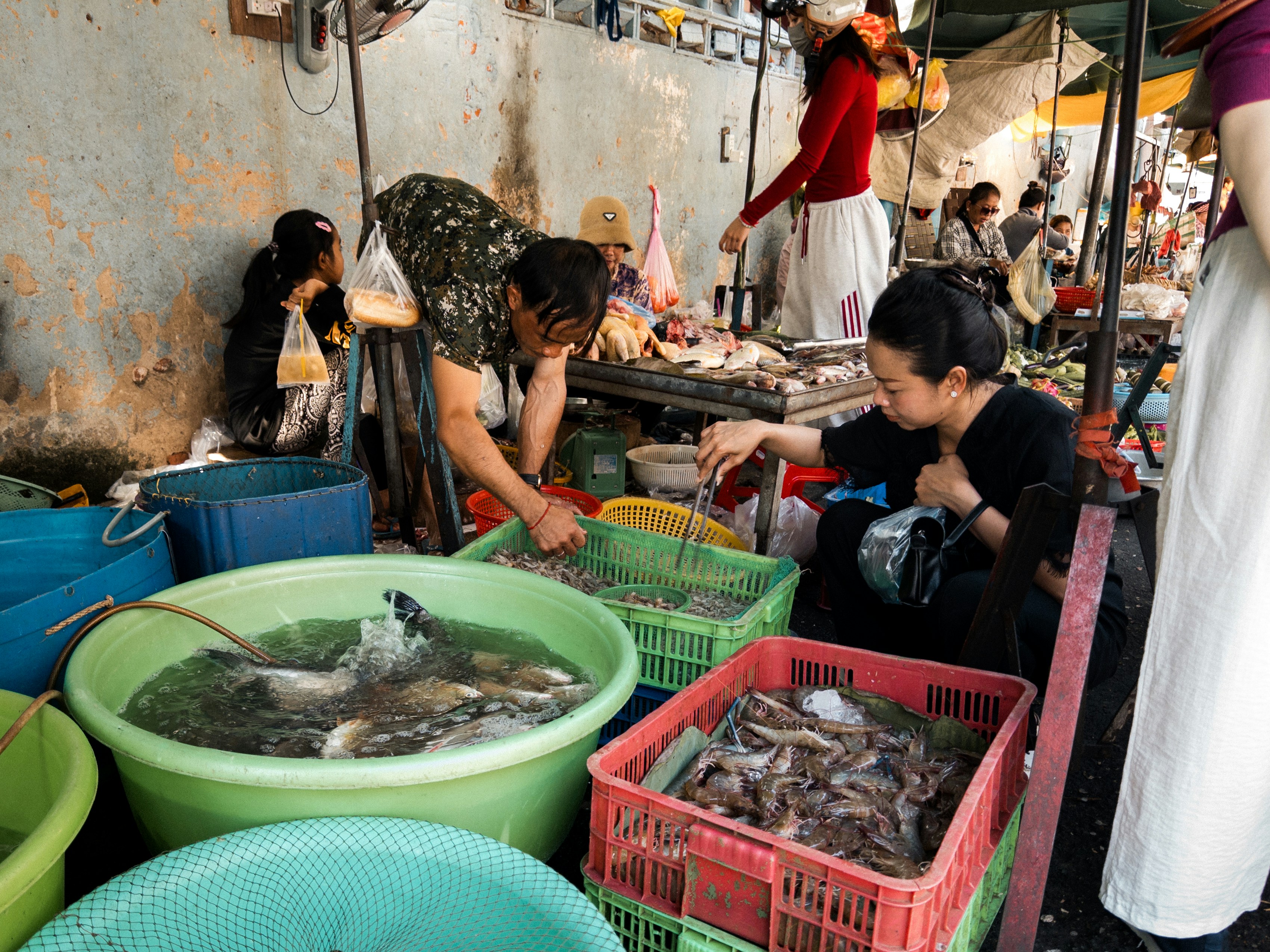 Local Life